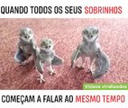 Quando seus sobrinhos tentam falar ao mesmo tempo hahaha