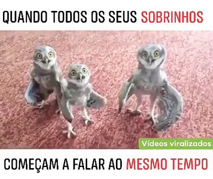Quando seus sobrinhos tentam falar ao mesmo tempo hahaha