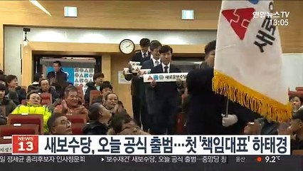 새보수당, 오늘 공식 출범…첫 '책임대표' 하태경