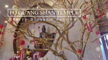 VLOG 2: Fo Guang Shan Temple Auckland Cherry Blossom Festival - Travel New Zealand