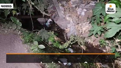 વલસાડમાં પાણીની પાઇપલાઇનમાં ભંગાણ સર્જાતા હજારો લિટર પાણી વેડફાયું, તંત્રએ આંખ આડા કાન કર્યાં