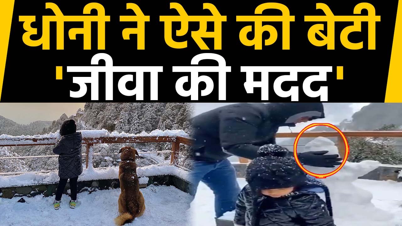 MS Dhoni helps daughter Ziva Dhoni build a snow...