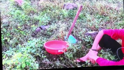 KBC Spoof Comedy I Jassi D Vines I