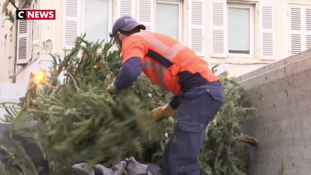 Les Sapins de noël auront une seconde vie