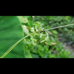 amazing facts around the world 3