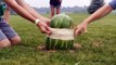 Watermelon+757 rubber bands