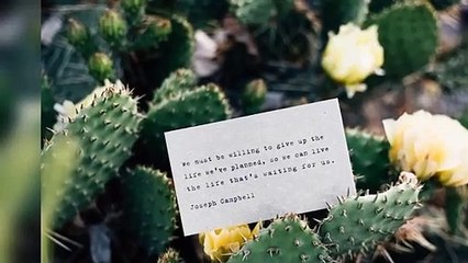 Motivational pictures with deep meaning | inspirational quote | One Picture Millions Words | Sad Reality