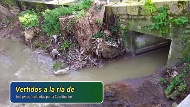 Denuncia: Comienza el año con nuevos vertidos fecales a la ría de Avilés que se ven y huelen