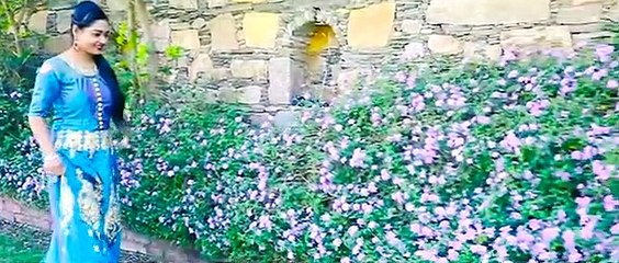 जमाने की सारी खुशी मिल गई है  _ Zamane Ki Saari Kh(360P)