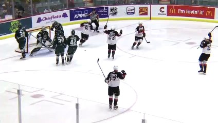 Highlights: Silvertips (5) at Cougars (2)