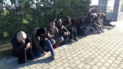 Ağaçlık alanda saklanan 43 düzensiz göçmen yakalandı