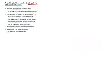Sıradışı Analiz Yayınları TYT 2. Deneme Sınavı - Türkçe 2. Soru