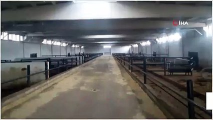 İkinci çiftlik bank vakası