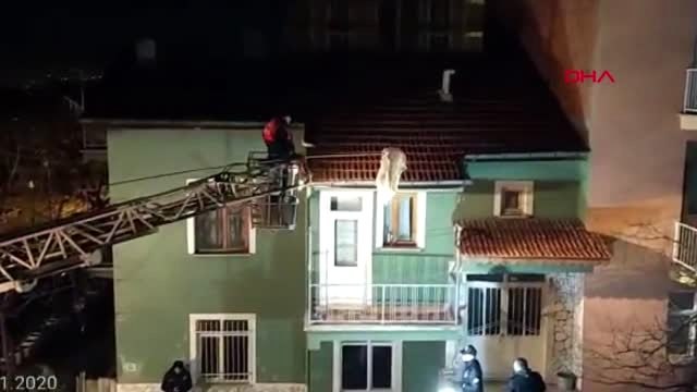 Balkonda mahsur kalan kediyi kurtarma operasyonu