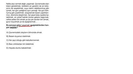 Sıradışı Analiz Yayınları TYT 2. Deneme Sınavı - Türkçe 24. Soru