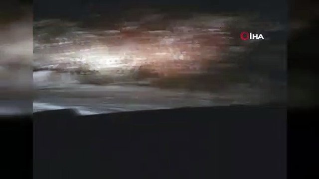 Kış uykusuna yatmayan ayılar köylerde kol geziyor