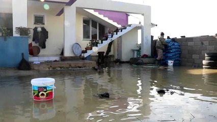 Sağanaklar sonrası taşkınlar nedeniyle tarım arazilerini su bastı