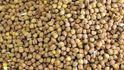 ছোলা খাওয়ার সঠিক নিয়ম।