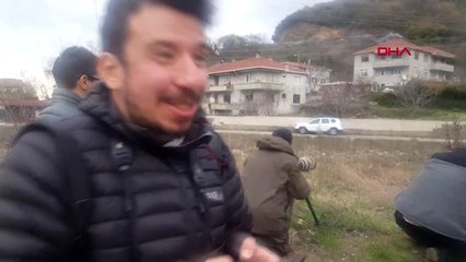 Zonguldak türkiye'de nadir görülen kuş türü zonguldak'ta fotoğraflandı