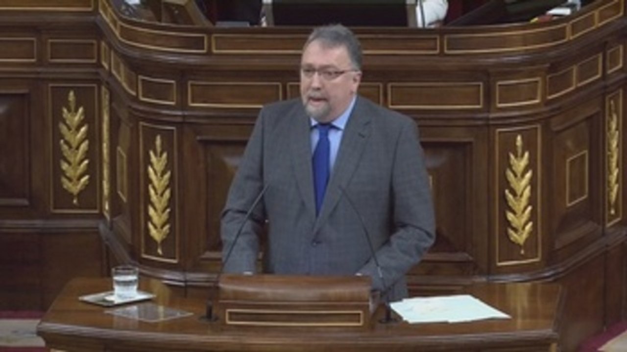 El diputado de Foro entona vivas al rey, la Constitución y España en el pleno