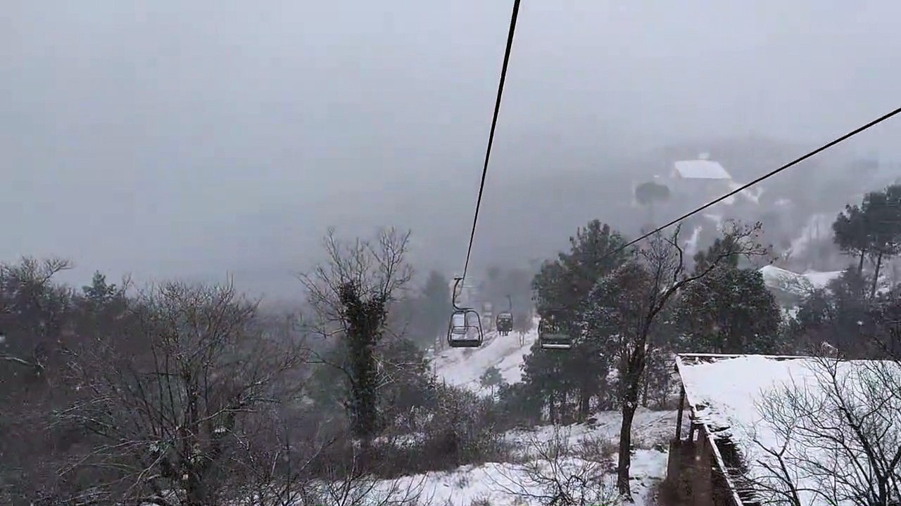 Full enjoy in muree