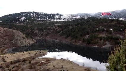 Karabük balıkları ölmemeleri için çeşme oluklarında besliyorlar