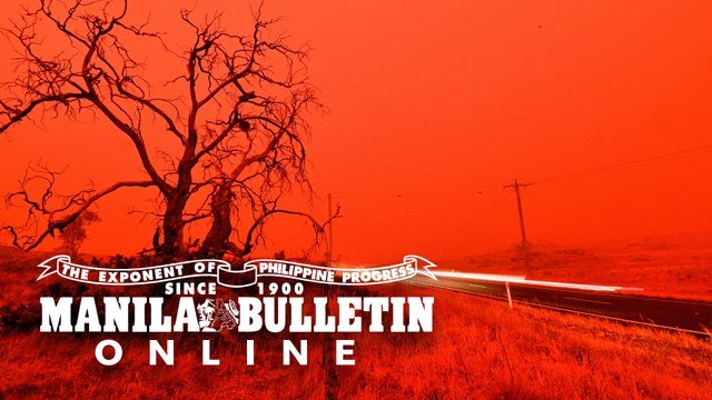 Australia bushfire turns sky red in New South Wales