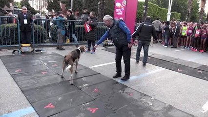 Uluslararası 5 Ocak Adana Kurtuluş Yarı Maratonu tamamlandı (2)