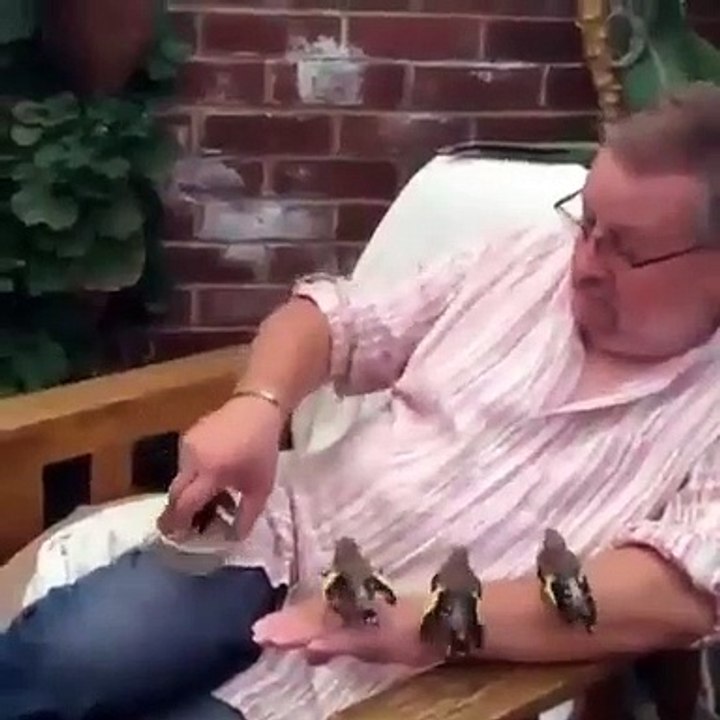 El vídeo de este hombre alimentando a 4 pajaritos arrasa en las redes….