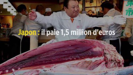 Japon : il paie 1,5 million d'euros pour un thon géant