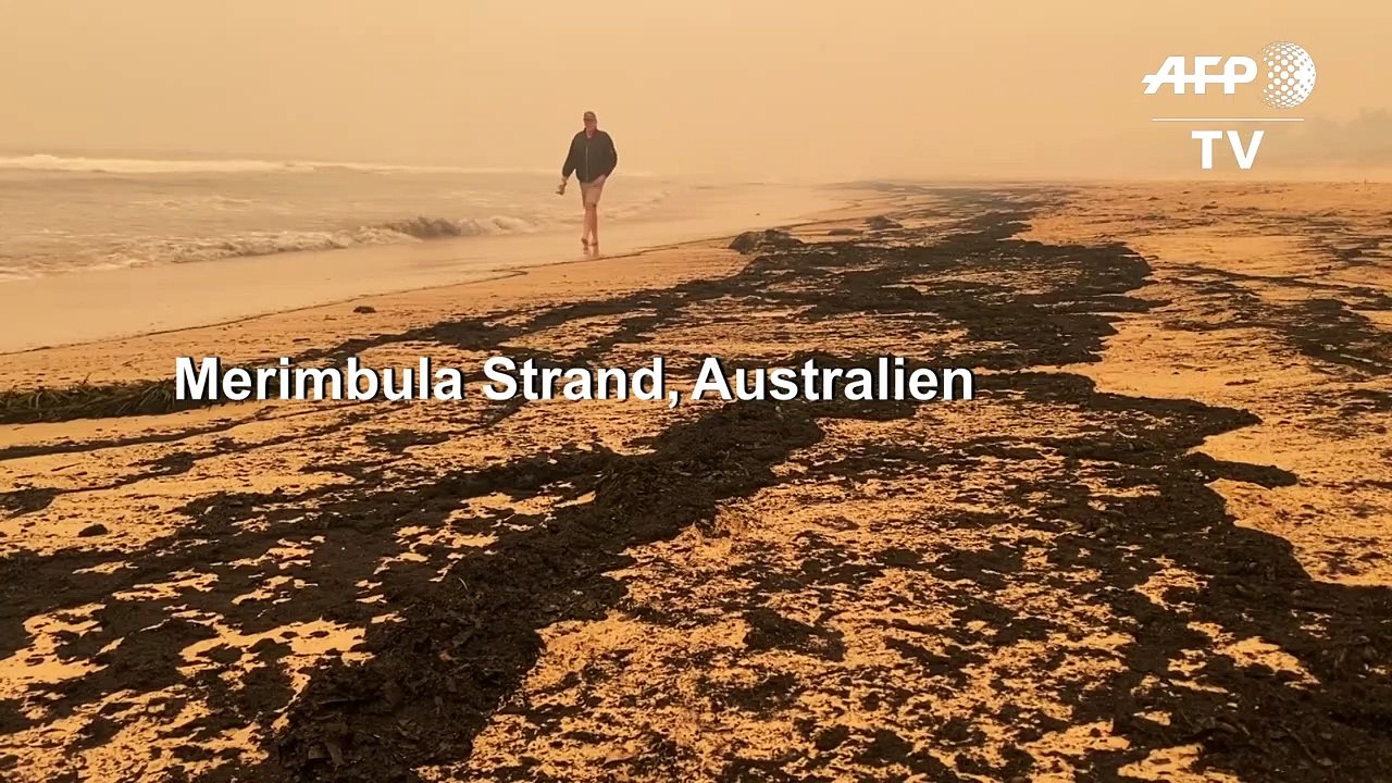 Ozean spült Asche der Buschfeuer wieder an Land