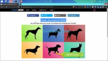 Gimmemore Identify the Dog Breed by its Silhouette! Answers 15 Questions Score 100% Video QuizSolutions