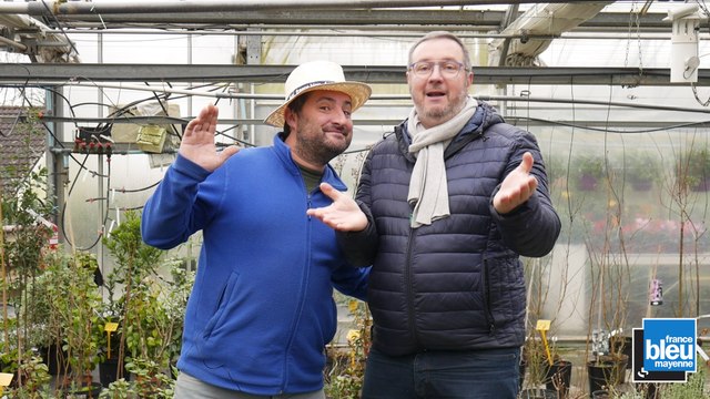 Bien choisir ses plants de haie et... Cuisiner la châtaigne