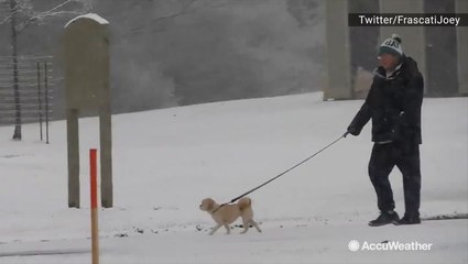 A nice, easy snow day graced the folks of upstate New York