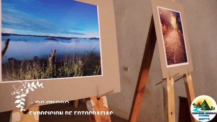 EXPOSICIÓN DE FOTOGRAFÍAS