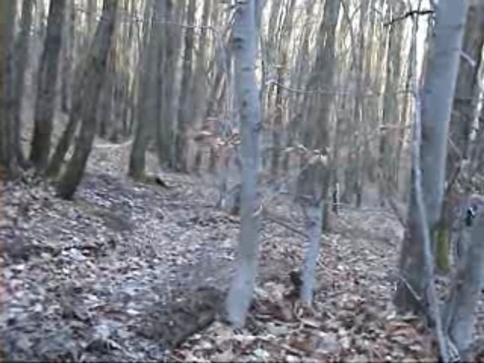 Apm DH pollionnay 10-02