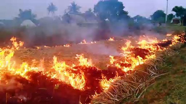 controlled crop fire for new season
