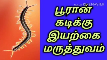 பூரான்கடிக்குஇயற்கைமருத்துவம்/நல்லதைமட்டும்சொள்வோம்/ஜோஷியர்வெற்றிவடிவேல்/ஜோதிடர்வெற்றிவடிவேல்/தமிழ்