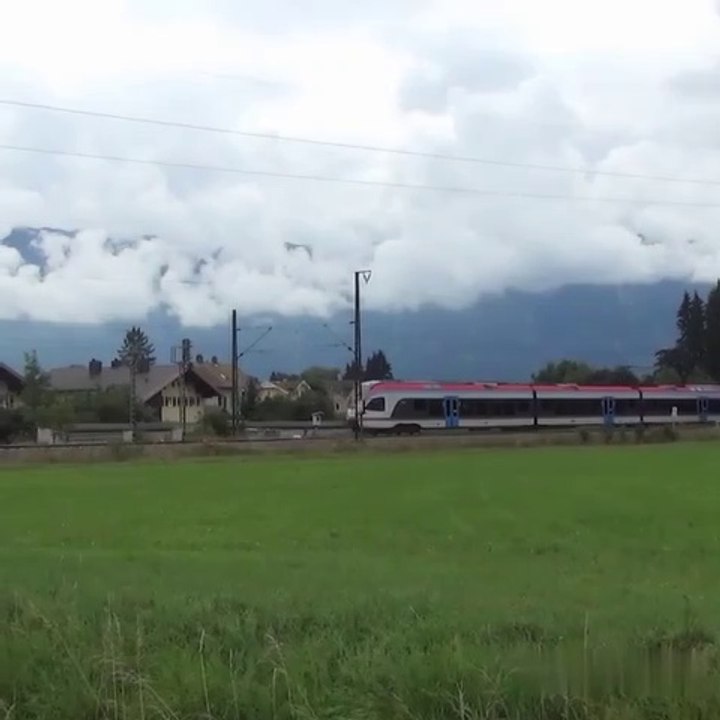 Beautiful view