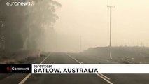 شاهد: نفوق مئات الحيوانات في حرائق أستراليا