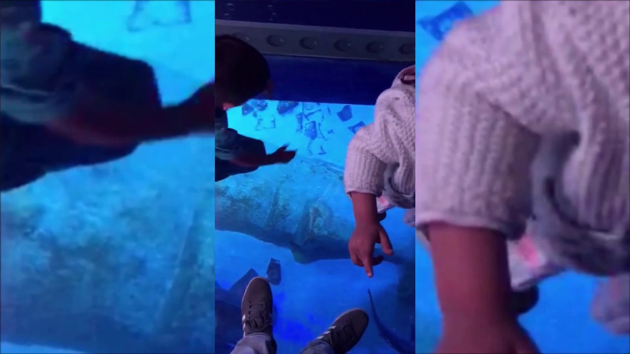 Shamshir Gunbir Visit  Sea Life London Aquarium