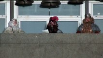 Discurso de los Reyes Magos de 2020 desde la Plaza Mayor de Leganés