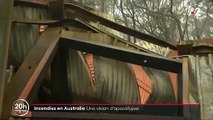 Les images terribles de l'Australie en feu depuis des semaines faisant des millions de victimes parmi les animaux