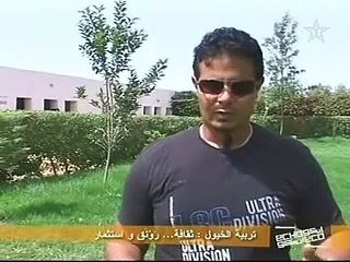 الحصان_الامازيغي_الاصيل(240p)