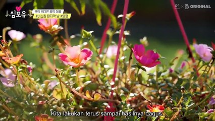 [SUB INDO] Sim for you / Heart4U EXO EP 28 (Chen)