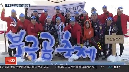 겨울 바닷속에 '풍덩'…부산 해운대 북극곰 축제 성황