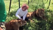 Estos dos leones de Crimea se dejan acariciar por una turista como si fueran gatitos