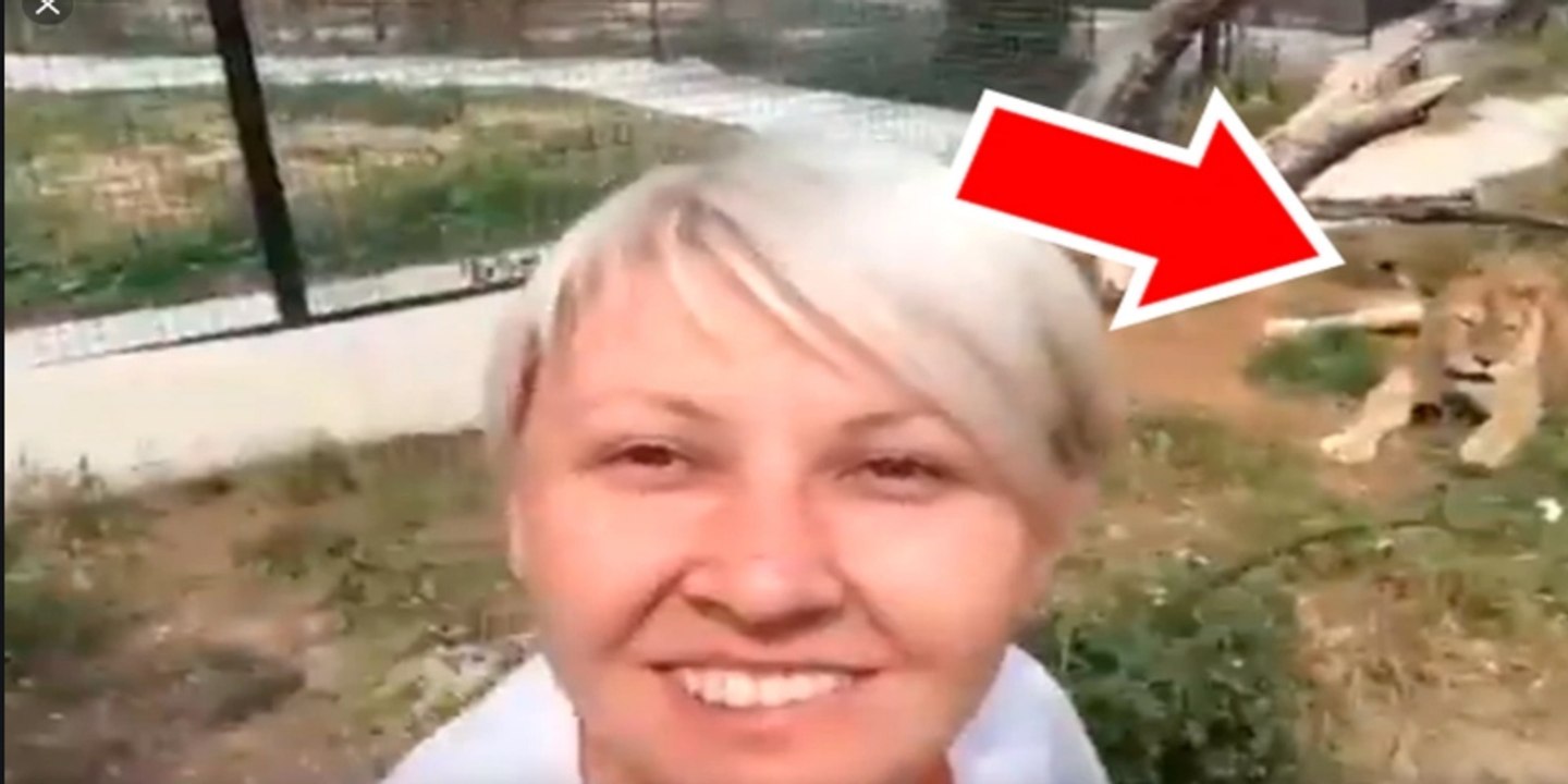 Selfie: la rubia se mete en la  jaula de los leones y pasa lo que tiene que pasar