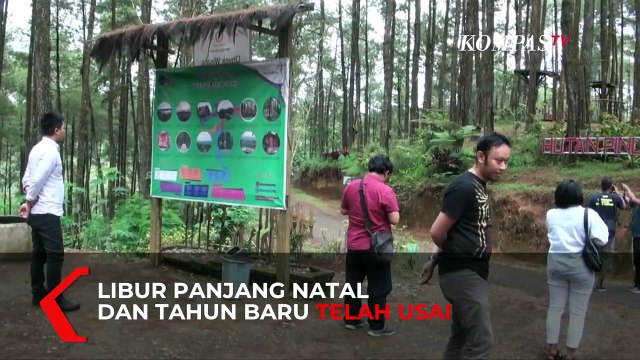 Wisata Alam Hutan Pinus di Purworejo