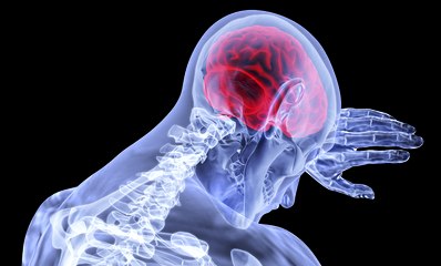 Descubren por fin como frenar el envejecimiento del cerebro humano